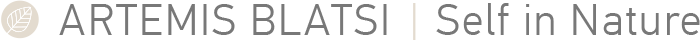artemis blatsi logo